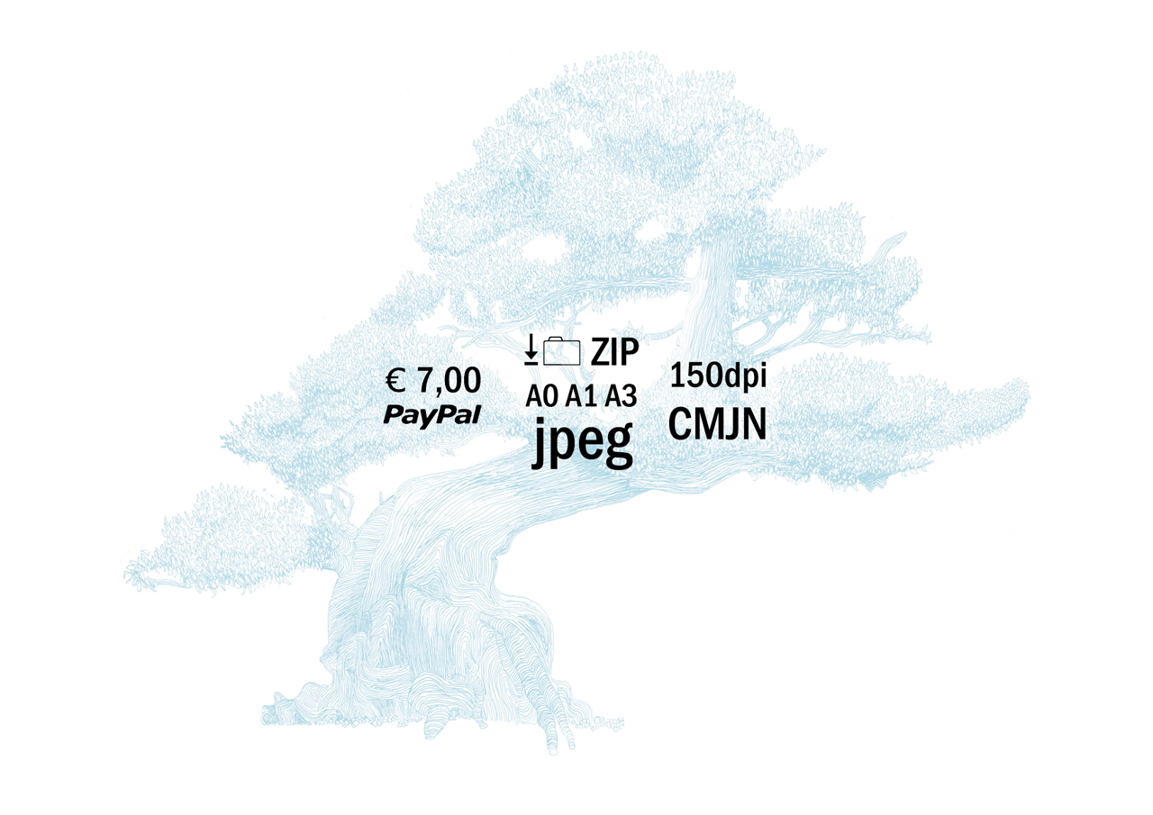 fond arbre généalogique bonsai maya