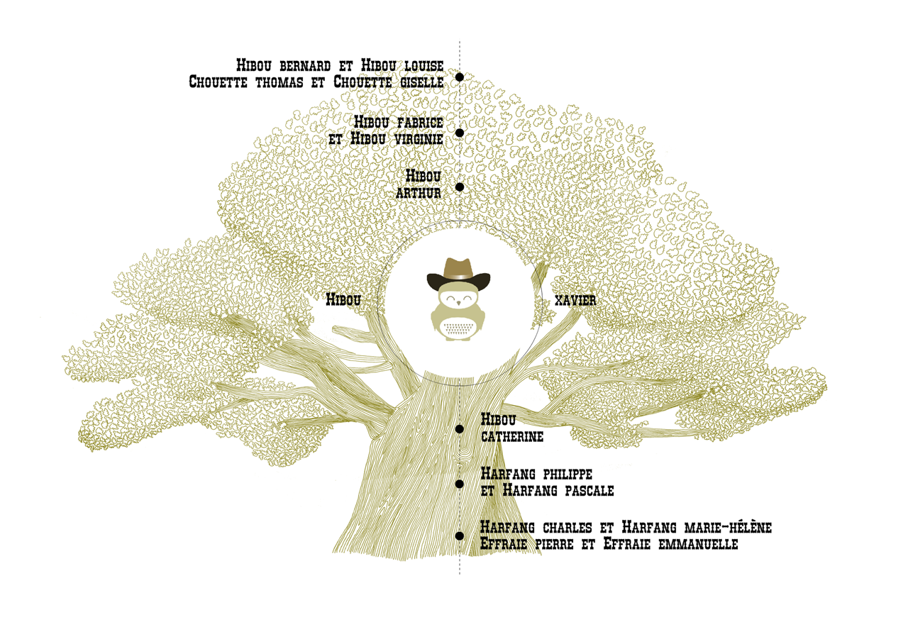 arbre généalogique kit dallas éditeur exemple 1 ascendant